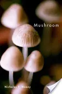 Houby - Mushroom