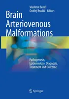 Arteriovenózní malformace mozku: Patogeneze, epidemiologie, diagnóza, léčba a výsledky léčby - Brain Arteriovenous Malformations: Pathogenesis, Epidemiology, Diagnosis, Treatment and Outcome