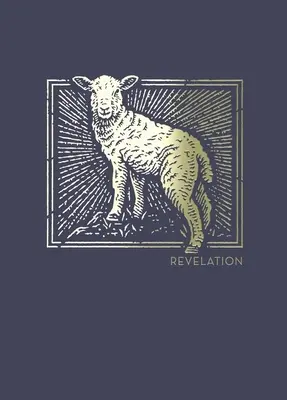 Net Abide Bible Journal - Revelation, Paperback, Comfort Print: Bible svatá - Net Abide Bible Journal - Revelation, Paperback, Comfort Print: Holy Bible