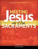 Setkání s Ježíšem ve svátostech (učební text pro studenty) [druhé vydání] - Meeting Jesus in the Sacraments (Student Text) [second Edition]