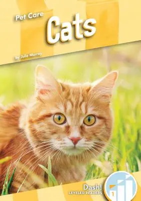 Kočky - Cats