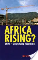 Afrika na vzestupu? Brics - diverzifikace závislosti - Africa Rising?: Brics - Diversifying Dependency