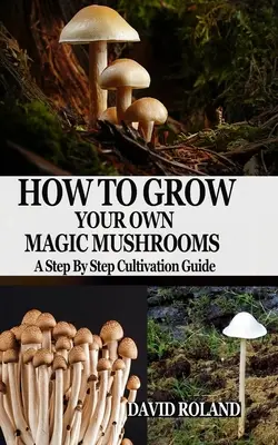 Jak si vypěstovat vlastní kouzelné houby: Průvodce pěstováním krok za krokem - How to Grow Your Own Magic Mushrooms: A Step By Step Cultivation Guide
