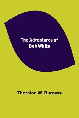 Dobrodružství Boba Whitea - The Adventures of Bob White