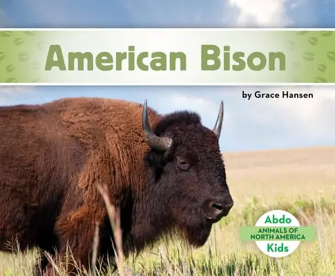Bizon americký - American Bison