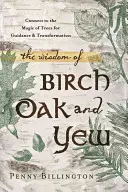 Moudrost břízy, dubu a tisu: Vyzkoušejte si magii stromů pro vedení a transformaci. - The Wisdom of Birch, Oak, and Yew: Connect to the Magic of Trees for Guidance & Transformation