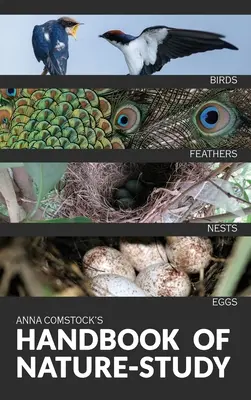 Barevná příručka o přírodě - Ptáci - The Handbook Of Nature Study in Color - Birds