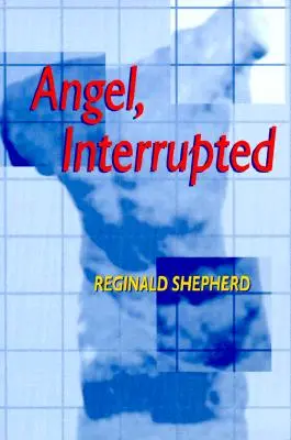 Přerušený anděl - Angel Interrupted
