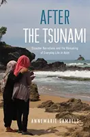 Po tsunami: Vyprávění o katastrofě a přetváření každodenního života v Acehu. - After the Tsunami: Disaster Narratives and the Remaking of Everyday Life in Aceh