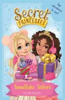 Tajné princezny: Dvě dobrodružství v jednom! Speciální - Secret Princesses: Snowflake Sisters - Two adventures in one! Special