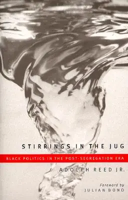 Stirrings in the Jug: Černošská politika v době po segregaci - Stirrings in the Jug: Black Politics in the Post-Segregation Era