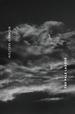 Bledý žebřík: Vybrané básně a texty (2009-2014) - The Pale Ladder: Selected Poems & Texts (2009-2014)
