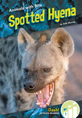 Hyena skvrnitá - Spotted Hyena