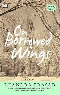 Na vypůjčených křídlech - On Borrowed Wings