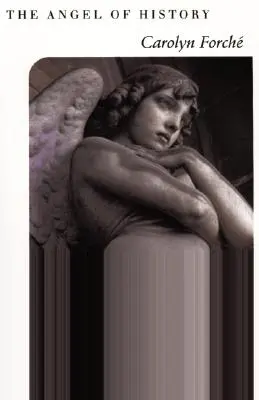 Anděl dějin - The Angel of History