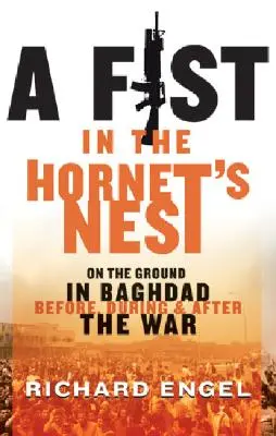 Pěst v sršním hnízdě: V hnízdě hnízda: Na zemi v Bagdádu před válkou, během ní a po ní - A Fist in the Hornet's Nest: On the Ground in Baghdad Before, During and After the War