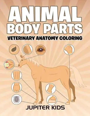 Části těla zvířat: Veterinární anatomie Omalovánky - Animal Body Parts: Veterinary Anatomy Coloring