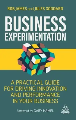 Podnikové experimentování: Experimentování: praktický průvodce inovacemi a výkonností ve vašem podniku - Business Experimentation: A Practical Guide for Driving Innovation and Performance in Your Business