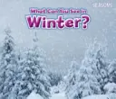 Co můžete vidět v zimě? - What Can You See In Winter?