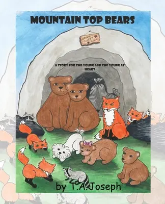 Medvědi z vrcholků hor - The Mountain Top Bears