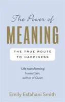 Síla smyslu - Pravá cesta ke štěstí - Power of Meaning - The true route to happiness