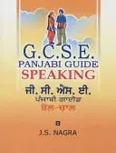 Příručka GCSE Panjabi: Mluvení - GCSE Panjabi Guide: Speaking