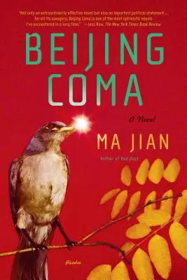 Pekingské kóma - Beijing Coma