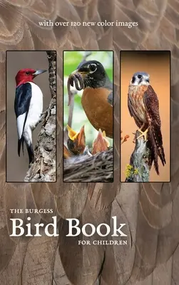 Burgessova kniha o ptácích s novými barevnými obrázky - The Burgess Bird Book with new color images
