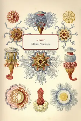 Virus Il - Il Virus