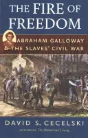 Oheň svobody: Abraham Galloway a občanská válka otroků - The Fire of Freedom: Abraham Galloway and the Slaves' Civil War