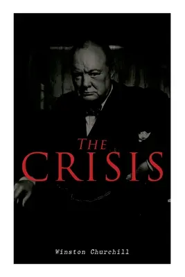 Krize: Občanská válka: román - The Crisis: Civil War Novel
