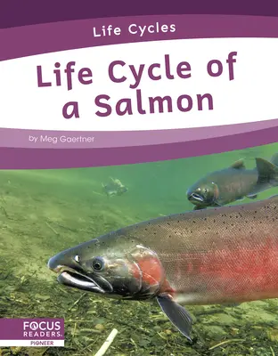 Životní cyklus lososa - Life Cycle of a Salmon