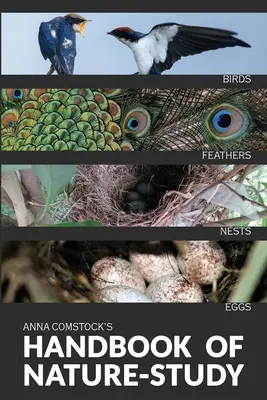 Barevná příručka o přírodě - Ptáci - The Handbook Of Nature Study in Color - Birds