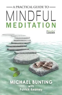 Praktický průvodce vědomou meditací - A Practical Guide to Mindful Meditation