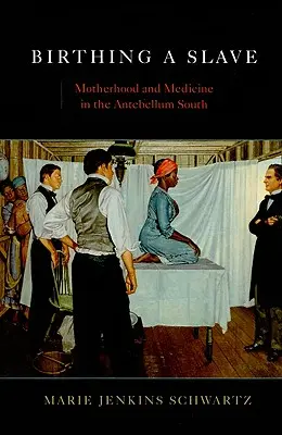 Porod otroka: Mateřství a medicína na jihu v době předbřeznové - Birthing a Slave: Motherhood and Medicine in the Antebellum South