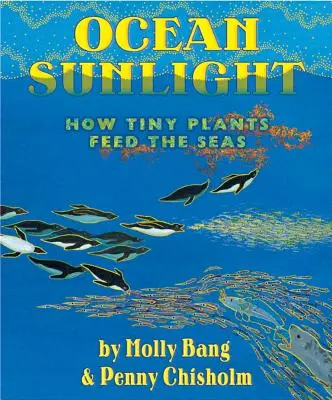 Sluneční světlo oceánu: Jak drobné rostliny živí moře - Ocean Sunlight: How Tiny Plants Feed the Seas