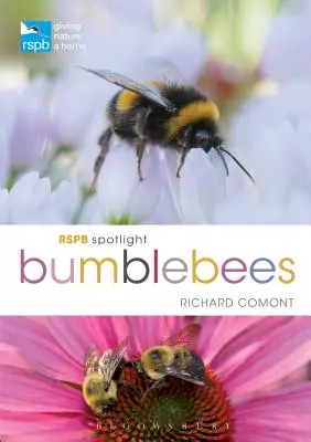Čmeláci v centru pozornosti RSPB - RSPB Spotlight Bumblebees