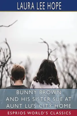 Bunny Brown a jeho sestra Sue v domě tety Lu (Esprios Classics) - Bunny Brown and His Sister Sue at Aunt Lu's City Home (Esprios Classics)