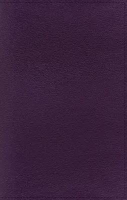Nrsv, Velká Bible s apokryfy v osobní velikosti, prémiová kozí kůže, fialová, Premier Collection, potištěné okraje stránek, pohodlný tisk - Nrsv, Personal Size Large Print Bible with Apocrypha, Premium Goatskin Leather, Purple, Premier Collection, Printed Page Edges, Comfort Print