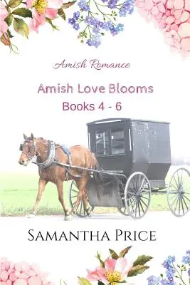 Amišská láska kvete Knihy 4- 6: Amišská romance - Amish Love Blooms Books 4- 6: Amish Romance
