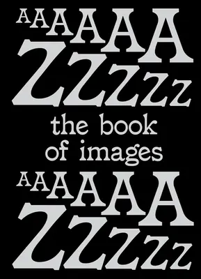 Kniha obrazů: Slovník vizuálních zážitků - The Book of Images: A Dictionary of Visual Experiences