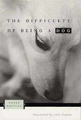 Obtížnost být psem - The Difficulty of Being a Dog