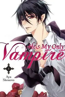 On je můj jediný upír, svazek 1 - He's My Only Vampire, Volume 1