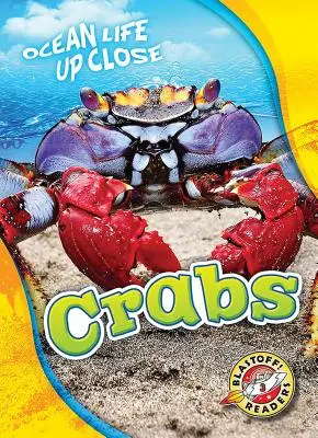 Krabi - Crabs