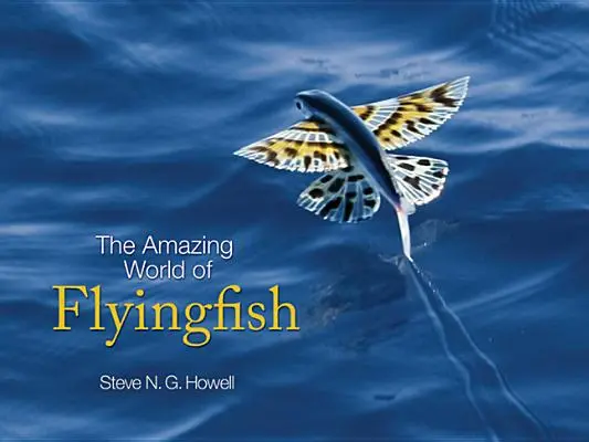 Úžasný svět létajících ryb - The Amazing World of Flyingfish