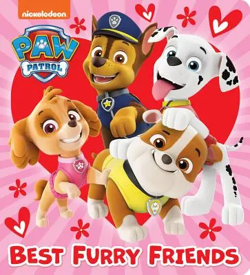 Nejlepší chlupatí kamarádi (Tlapková patrola) - Best Furry Friends (Paw Patrol)