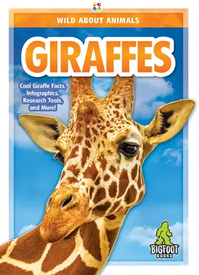 Žirafy - Giraffes
