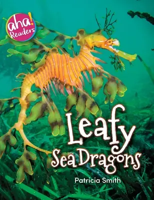 Listoví mořští draci - Leafy Sea Dragons