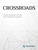 Diverzifikace a spolupráce v dekarbonizujícím se světě: Strategie v oblasti klimatu pro země závislé na fosilních palivech - Diversification and Cooperation in a Decarbonizing World: Climate Strategies for Fossil Fuel-Dependent Countries