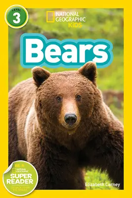 Medvědi - Bears